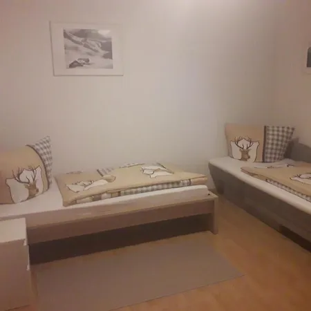 Haus Graus 公寓 施图拜河谷新施蒂夫特